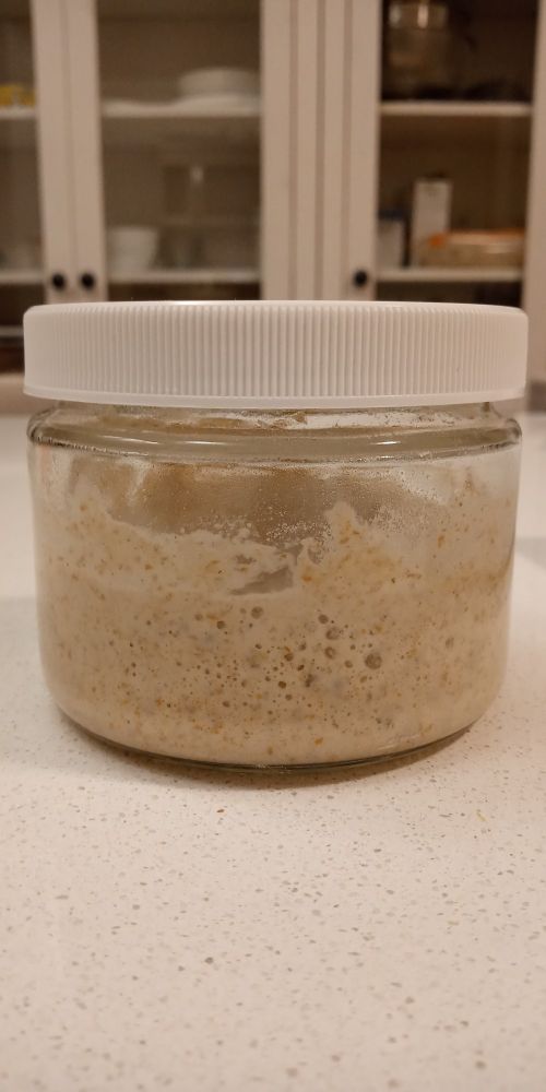 Sourdough starter bubbling in a glass jar