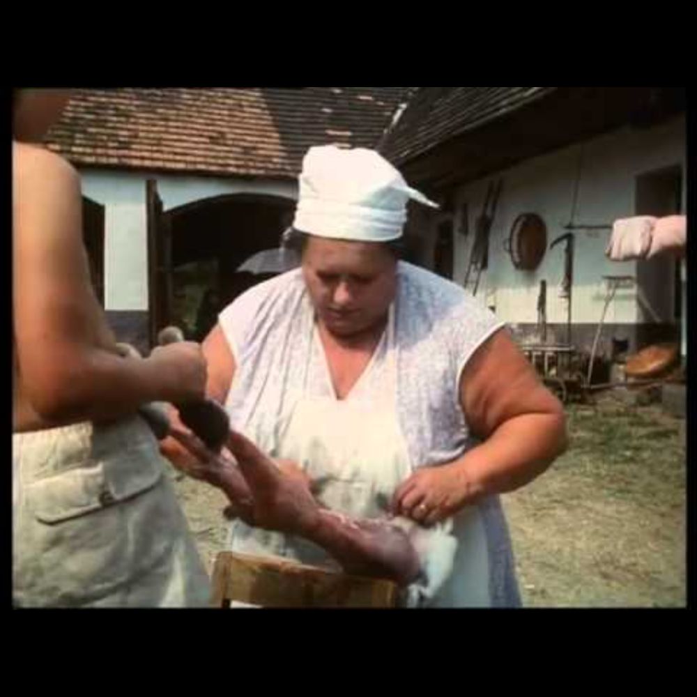 Zase králíka