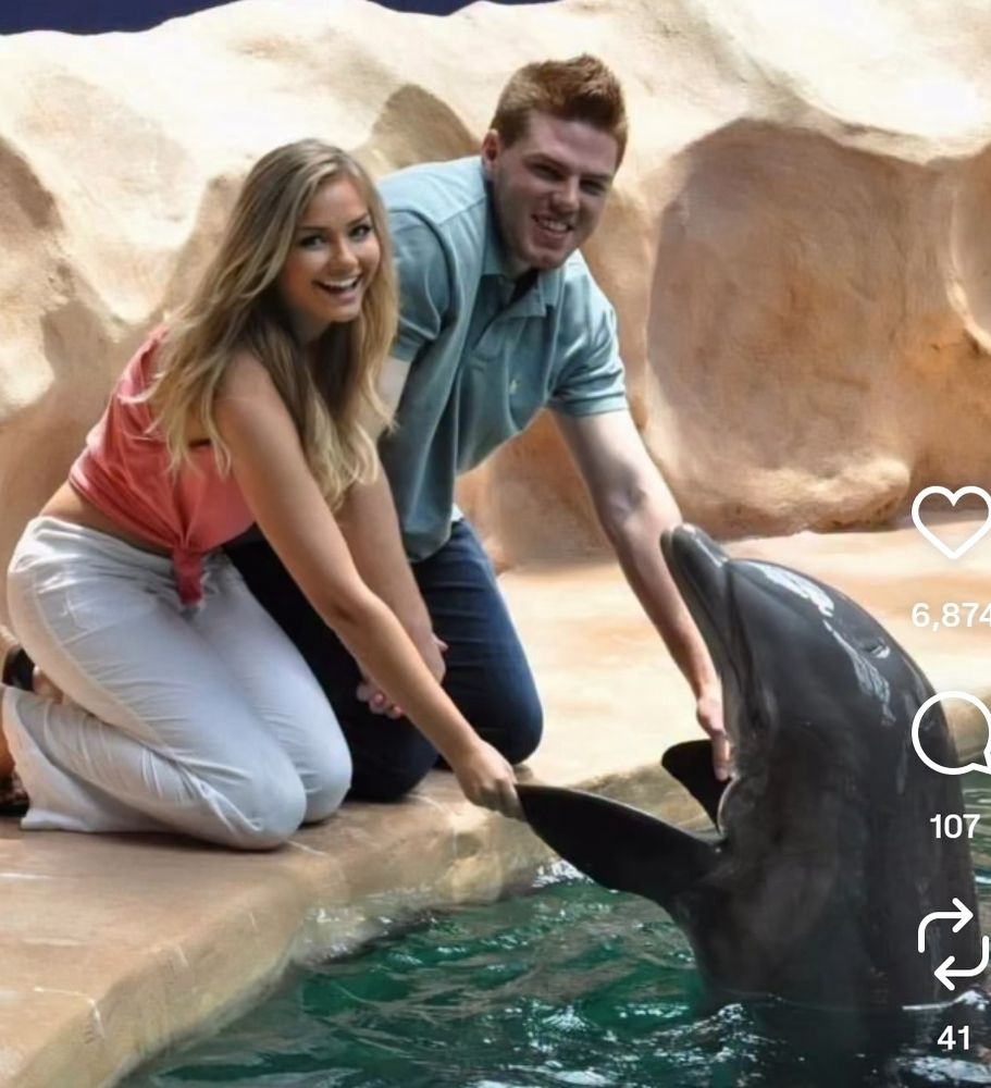 bb fredward baby Chelsea and a dolphin