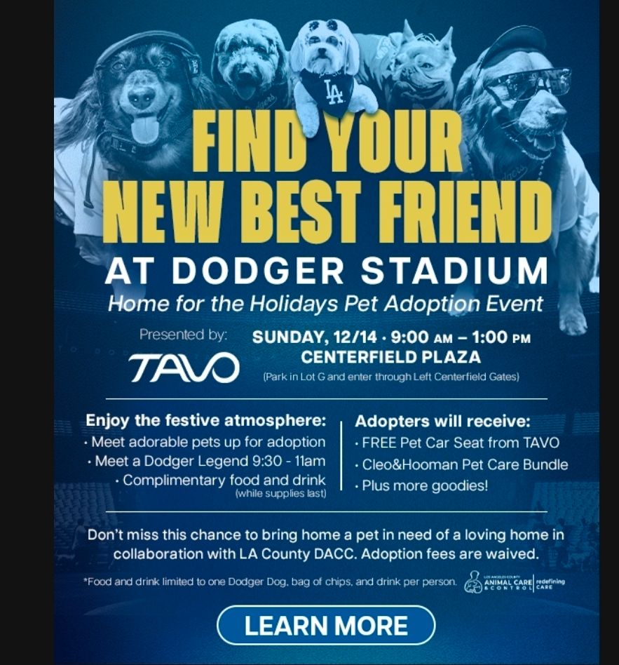 pet adoption even details