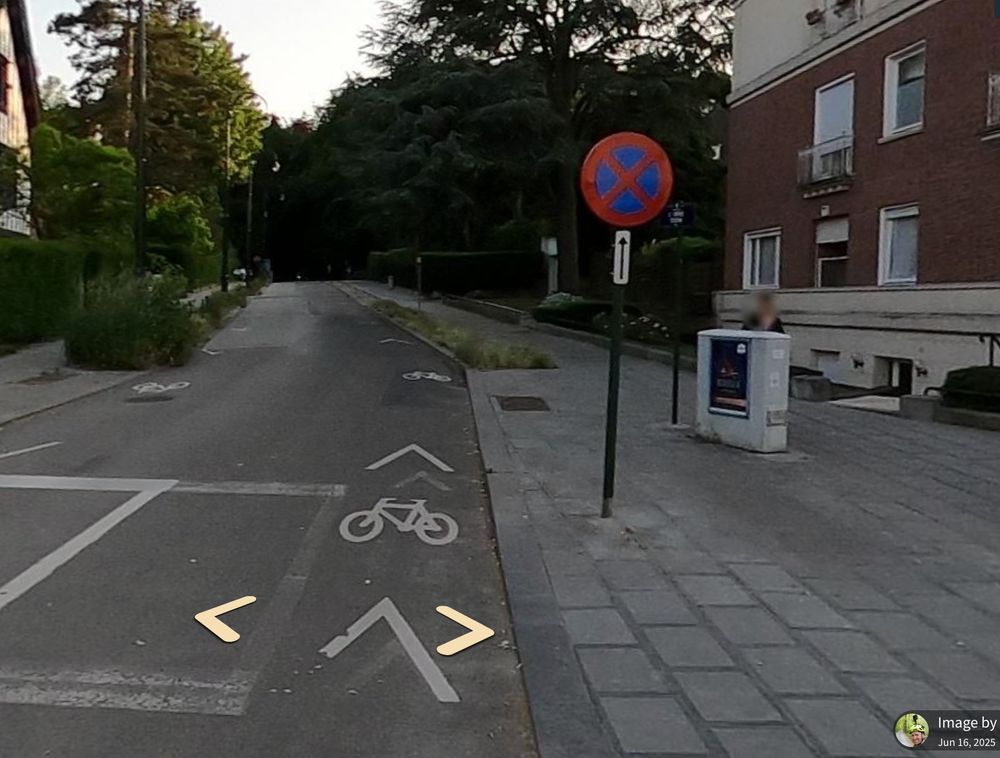 Croisement av. Franklin Roosevelt / Av. de l'Orée.
Photo de la situation le 16 juin 2025: Panneau d'interdiction de stationner et panneau indiquant le nom de la rue qui sont encore en parfait état, bien droits.