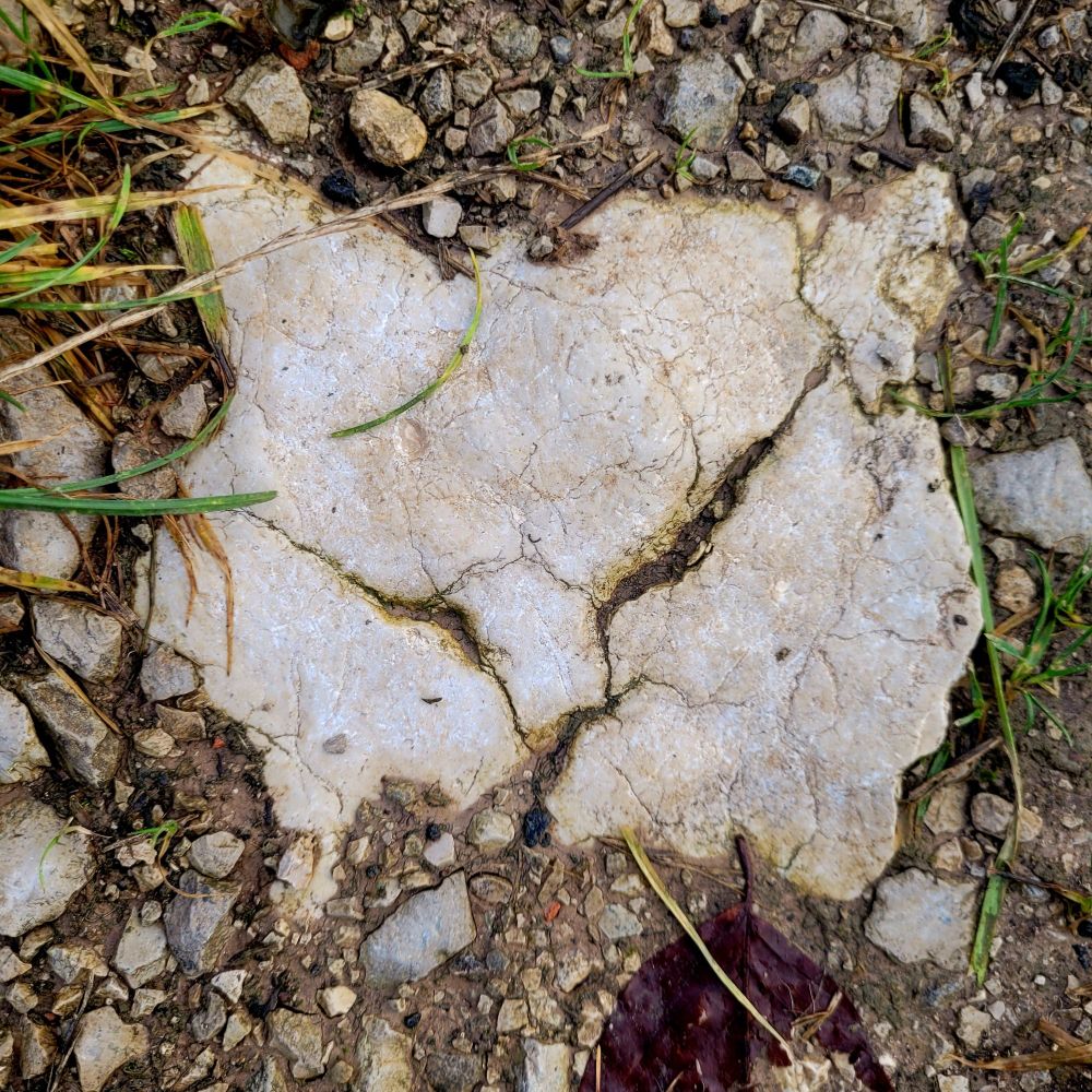 Weißer Stein in Form eines Katzenkopfes mit zugekniffenen Augen. 