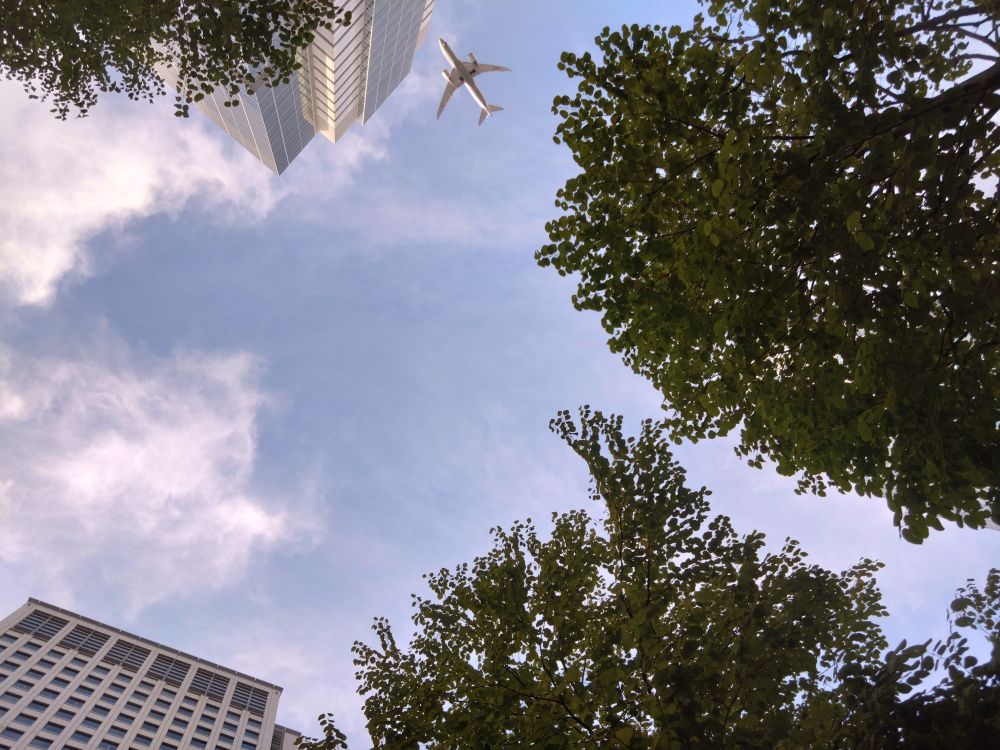 品川の高層ビルの合間から真上を見た写真。真ん中に青空があり、その周りを高層ビルと街路樹が囲う。真ん中に上空を横切る飛行機が写り込んでいる。