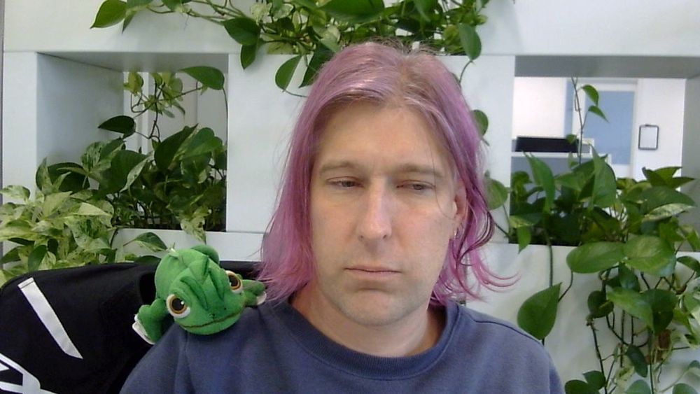 Pink haired enby person sitting in the same office with a stuffed chameleon on their shoulder, wearing a blue jumper.
