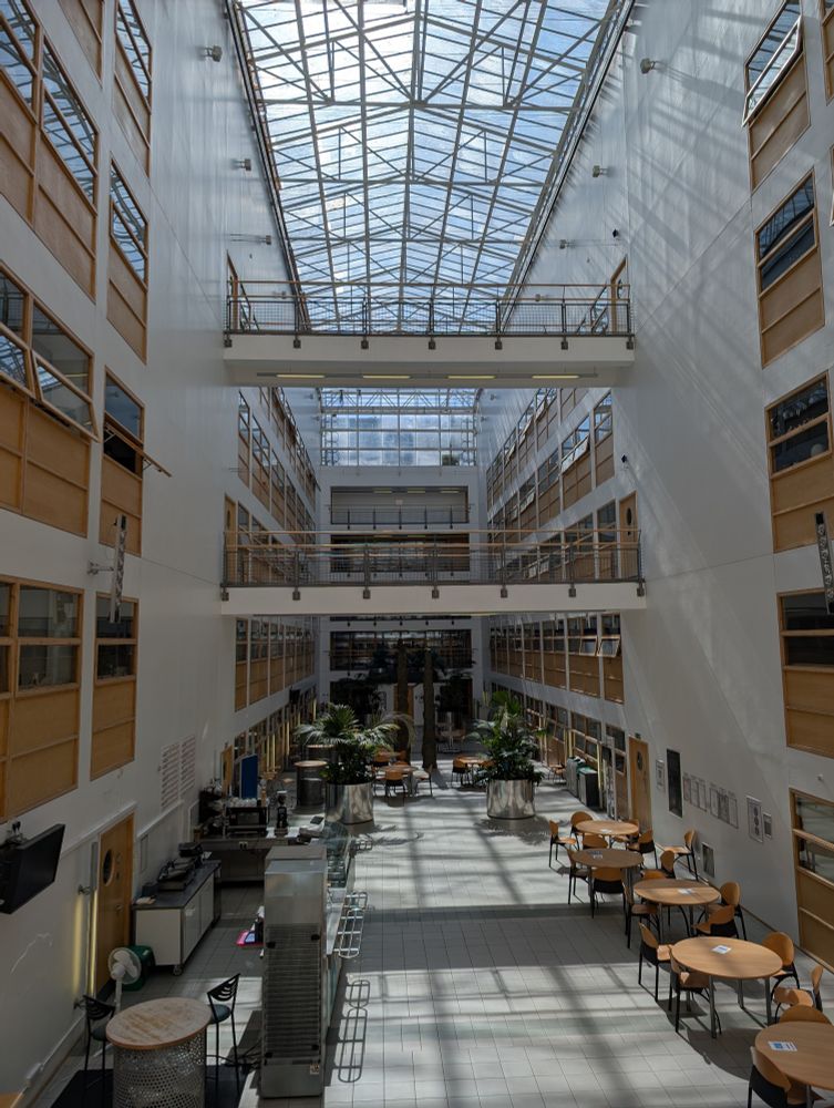 IMS atrium in the sun