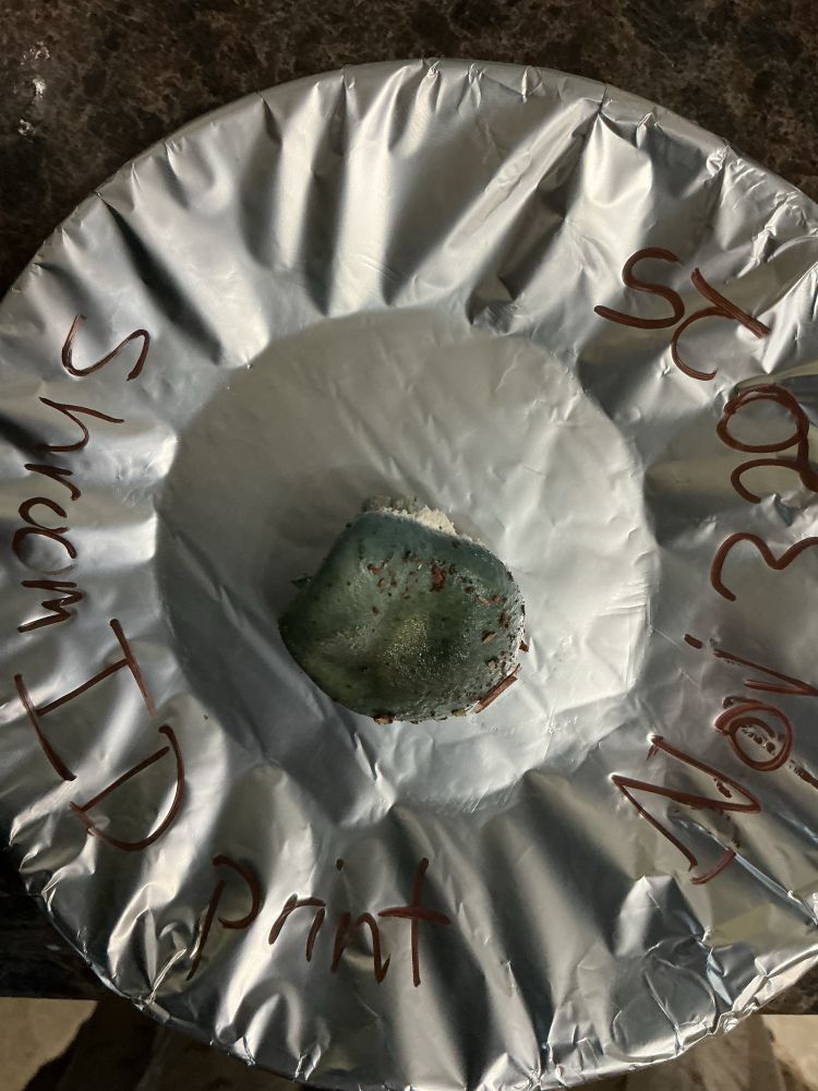 Top down view of a mushroom on a tinfoil spore print collection tool. The top of the mushroom is an uneven circle with two flat sides, and it is a deep greenish blue colour. There are flecks of red mulch on the mushroom. 