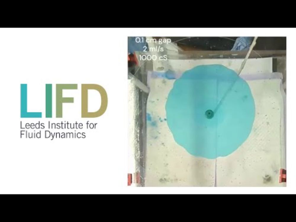 Saffman-Taylor Instabilities in Shear-Thinning Fluids - Ashleigh Hutchinson