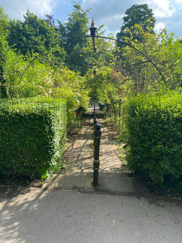 Picture of a local arboretum 