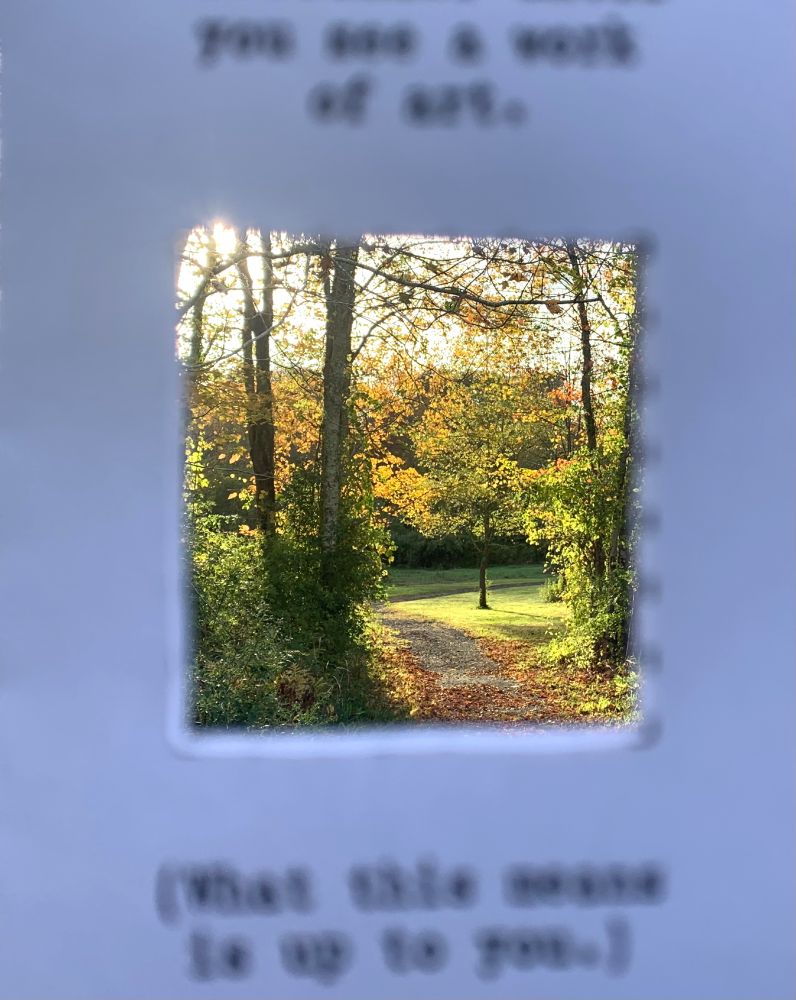 an autumnal fall scene featuring the sun shining across a tree is visible through a square viewfinder cut out of the page of a zine called Pocket Viewfinder
