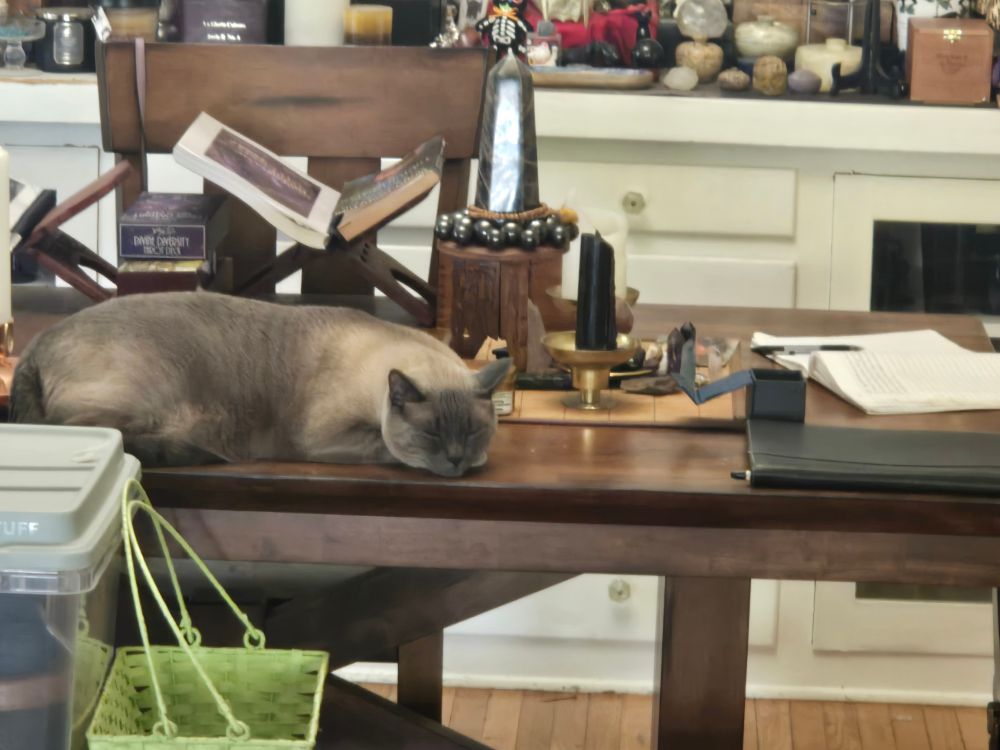 Eros lying on the table, being unsubtle about me getting on with working on the journal. My boy is very direct about expressing his opinions... he normally doesn't nap on the table at all. That's next to my crystal grid and my journal. 