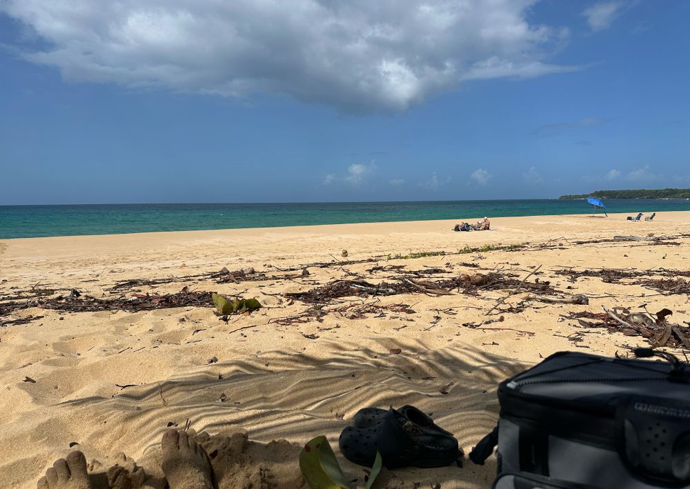 Everyday is a new adventure on an island 🌴