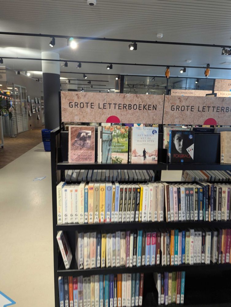 Boekenkast met de titel "grote letterboeken"