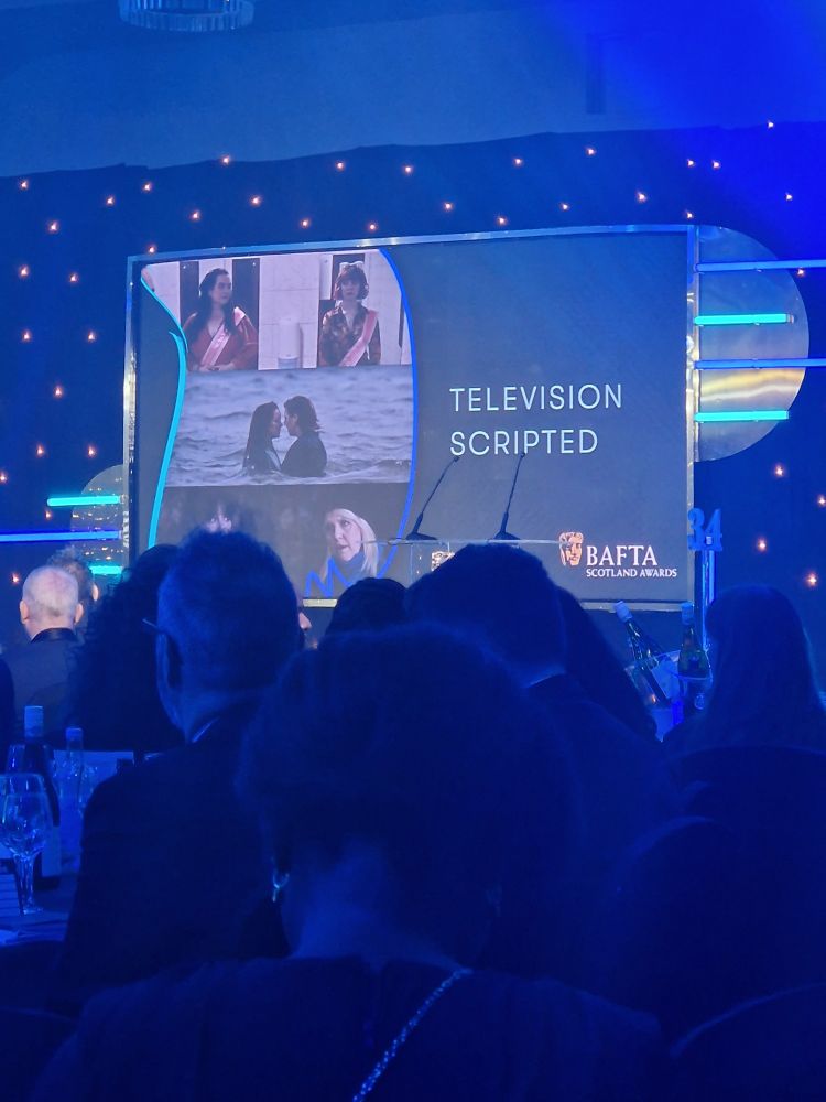 The screen at an awards show announcing the category of television scripted 
