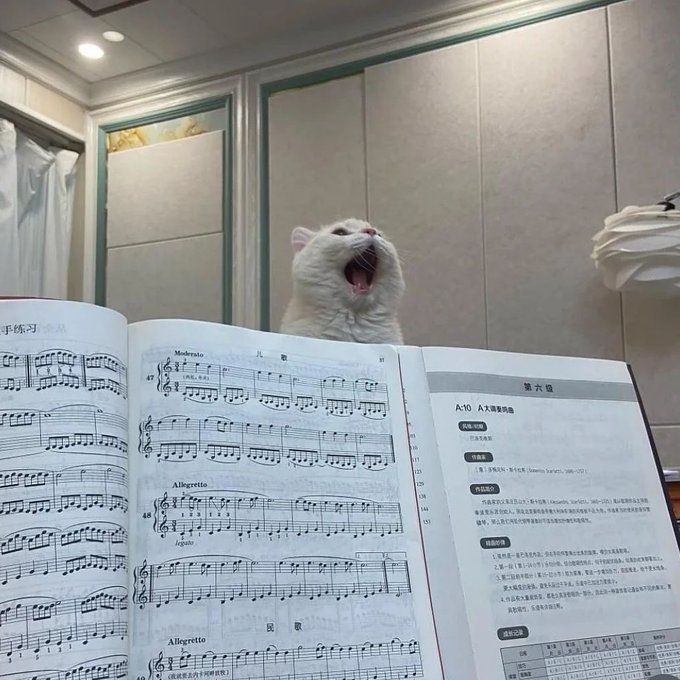 A white cat meowing with sheet music in the foreground