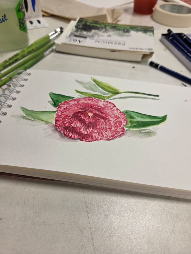 Aquarell einer Kamelienblüte in rosa. Im Hintergrund noch Mal- und Zeichenutensilien.