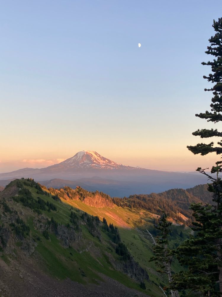 Looking south at Mt. Adams at sunset. The peak stands against a pail sky, with glaciers, clouds and haze all glowing in warm pastel colors. Where the ridge in the foreground is in light, it also glows soft orange with sunset. A fir tree stands at the right edge of the photo, and the half-full moon can be seen in the sky above.

The very point of Mt. Hood is just visible over Mt. Adam’s right shoulder. 

Western Washington continues to be fucking glorious. 