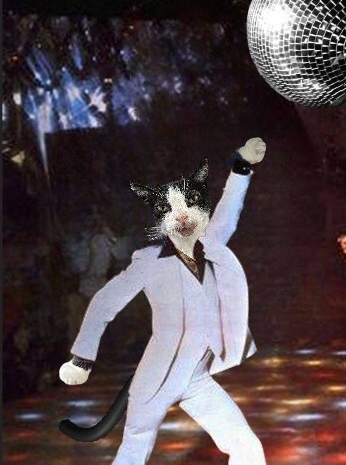 Marv gets ready to pack his suitcase 