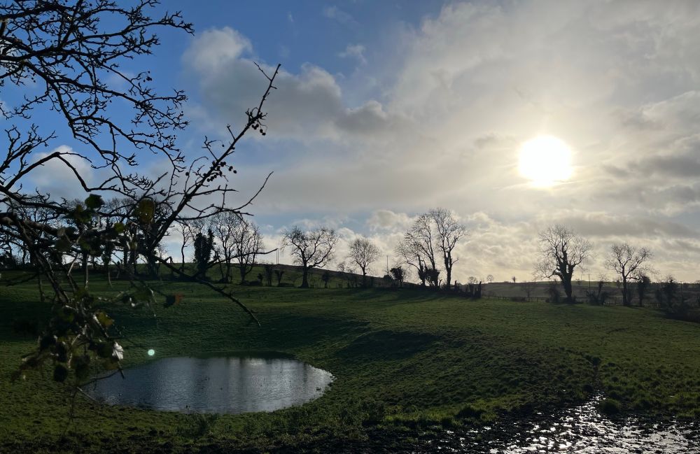 Sun shining over a green field. 