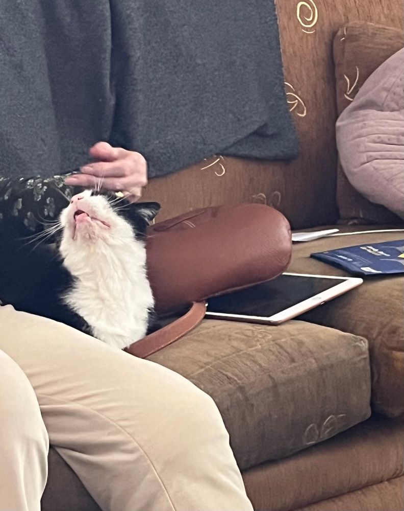 The Look of Love… 