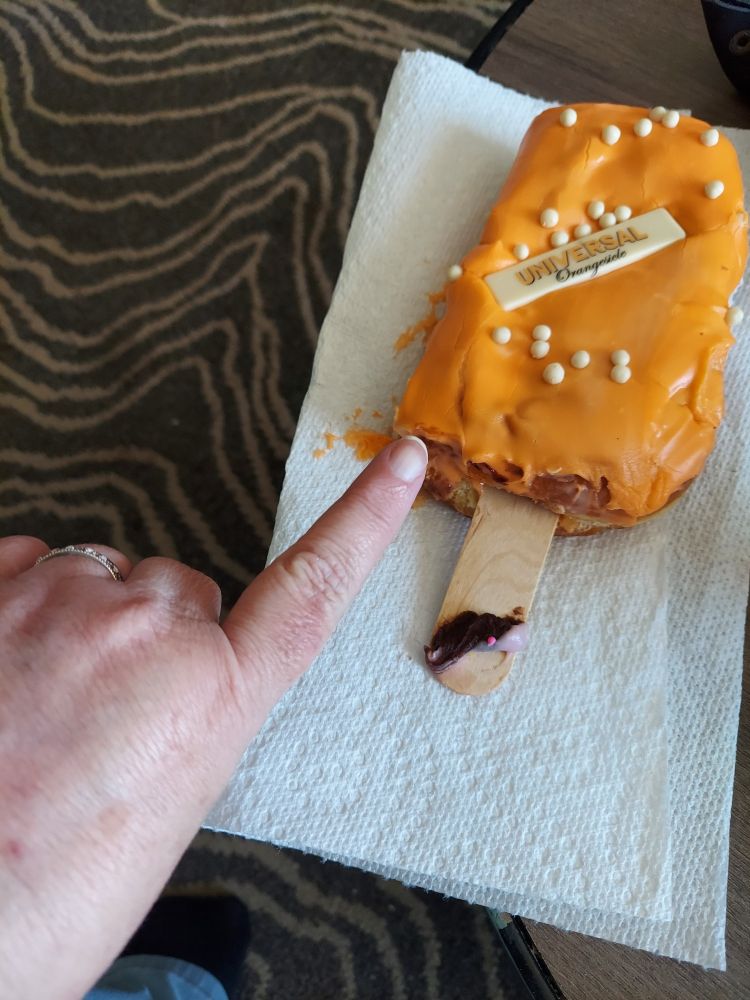 Universal Studios donut