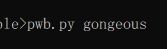 pwb.py gongeous