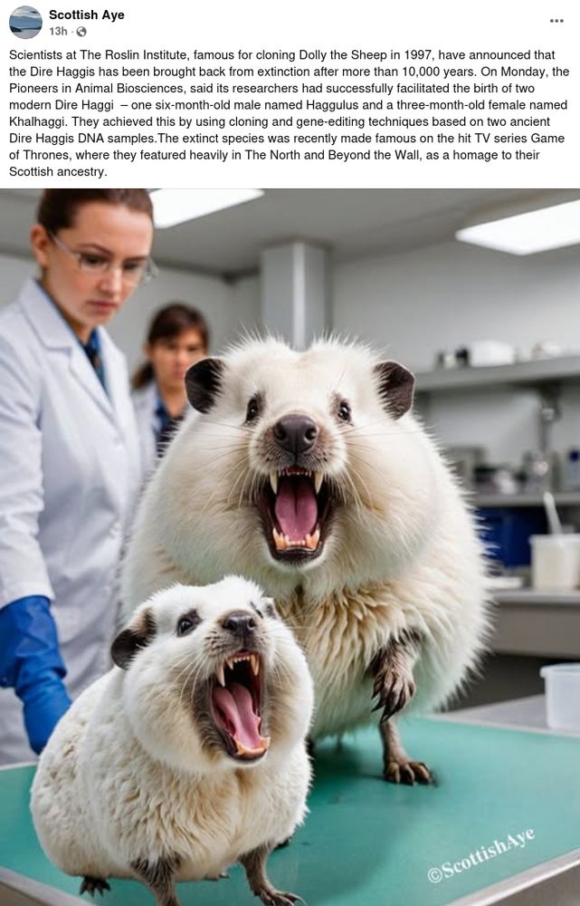 The image contains two white "haggis" bearing vampire teeth. Scientists at The Roslin Institute, famous for cloning Dolly the Sheep in 1997, have announced that the Dire Haggis has been brought back from extinction after more than 10,000 years. On Monday, the Pioneers in Animal Biosciences, said its researchers had successfully facilitated the birth of two modern Dire Haggi  – one six-month-old male named Haggulus and a three-month-old female named Khalhaggi. They achieved this by using cloning and gene-editing techniques based on two ancient Dire Haggis DNA samples.The extinct species was recently made famous on the hit TV series Game of Thrones, where they featured heavily in The North and Beyond the Wall, as a homage to their Scottish ancestry.