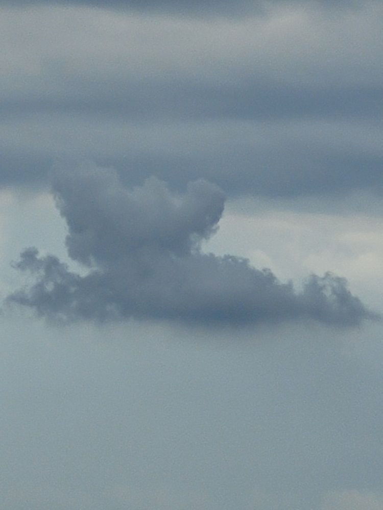 Nahaufnahme von Wolken in verschiedenen blau und grau Abstufungen. 
Für mich hat die dunkle Wolkenformation die Form eines liegenden Bären der nach unten schaut