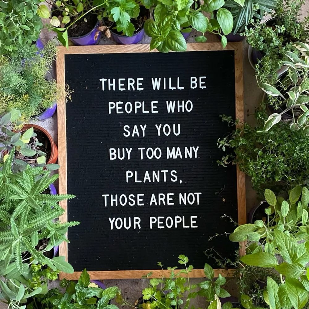 THERE WILL BE PEOPLE WHO SAY YOU BUY TOO MANY PLANTS.

THOSE ARE NOT YOUR PEOPLE.