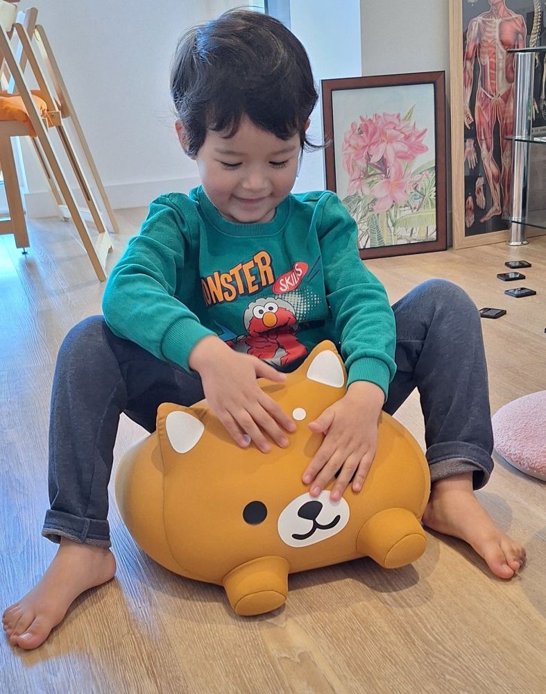 A little boy sitting on the dog bean bag