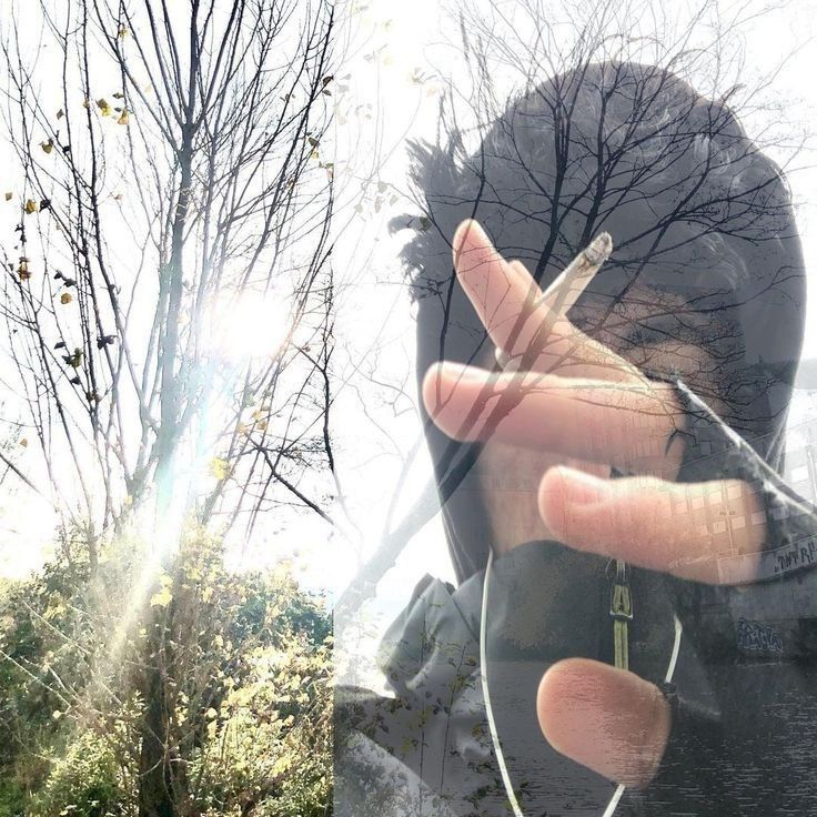 2 pictures
1. tree in bushes, sun shines through
2. dude with black hair and black jacket holding a burning cigarette