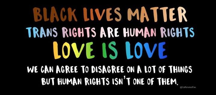 Text on a black background saying: 

Black Lives Matter
Trans Rights Are Human Rights
Love is Love
We can agree to disagree on a lot of things but human rights isn't one of them