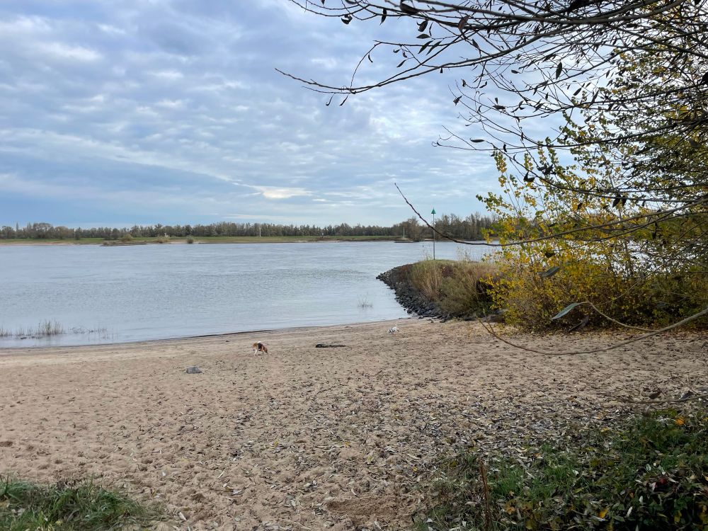 Kees en Joey lopen op het zandstrand aan de rivier