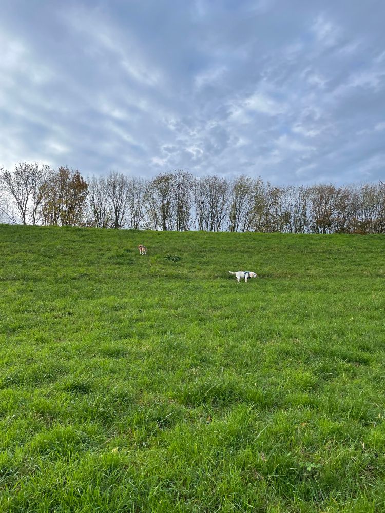 Kees en joey wandelen de dijk op