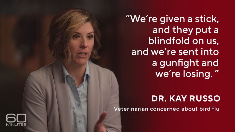 Veterinarian Dr. Kay Russo told 60 Minutes that the U.S. is running out of time to stop bird flu. 