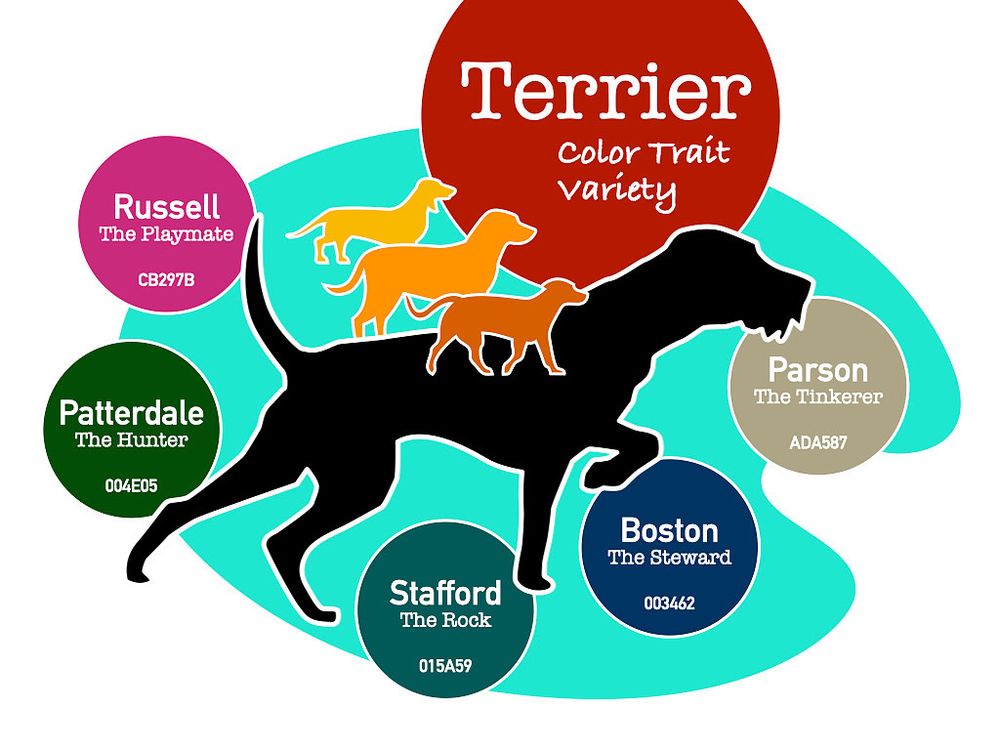 Terrier Trait