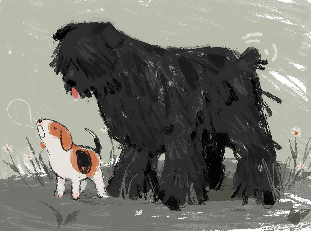 a beagle howling  in front of a large shaggy haired dog 