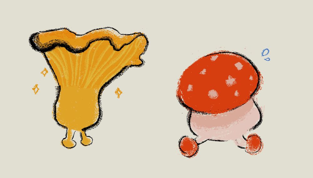walking mushrooms   ;; one styled after chanterelle  and the other  fly agaric adjacent if u squint   