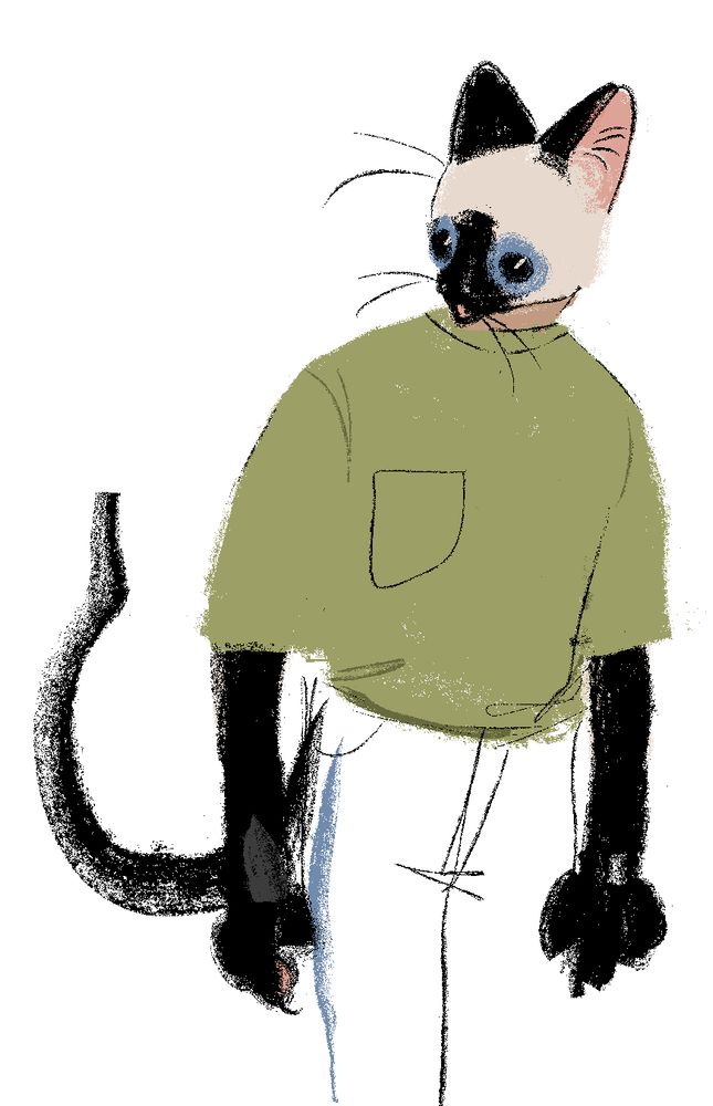 siamese  cat wearing a green shirt with pocket  yippeeeep