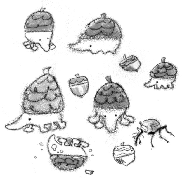many more b/w acorn weevil scribbles