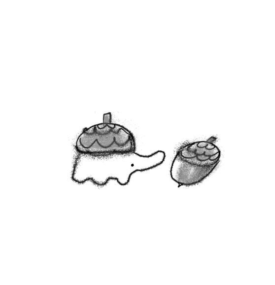 completely inaccurate // not true to life b/w cartoon doodle vers of an Acorn Weevil   its wearing an acorn shell on its back   stood in front of its prey (the acorn)
