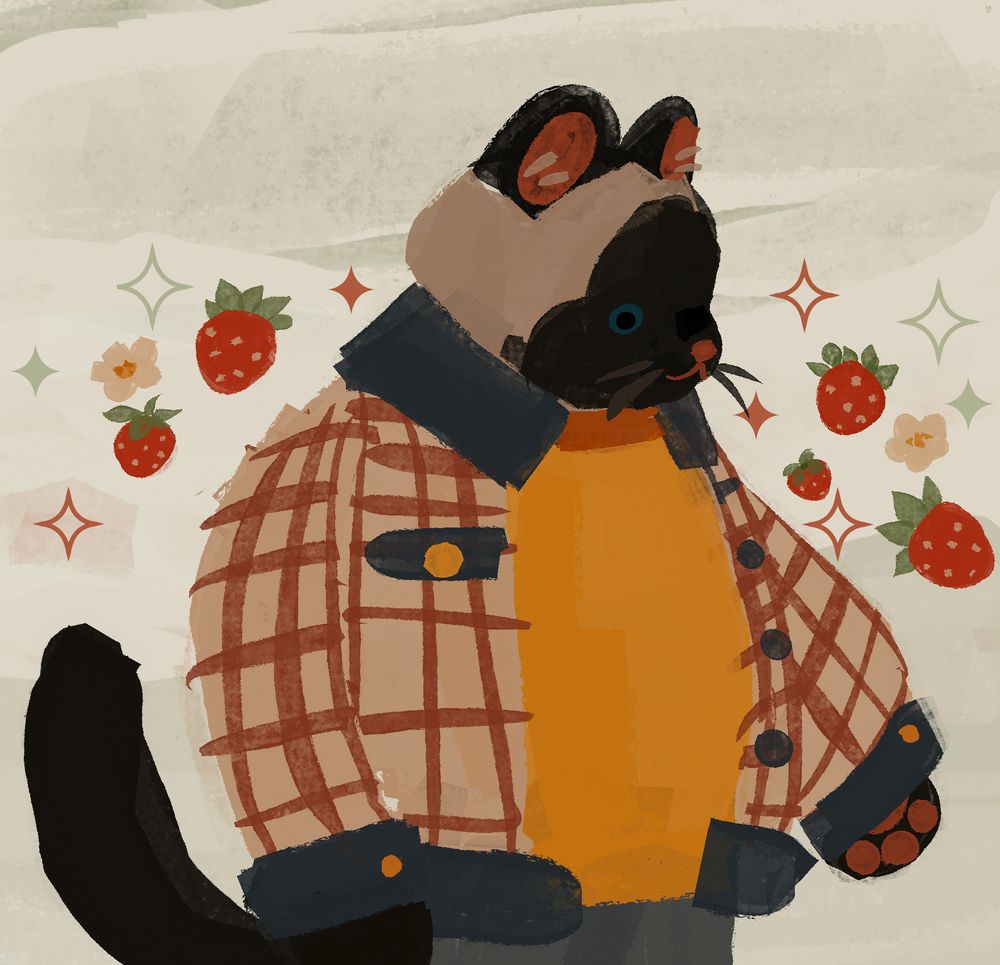 cat wearing a coat 