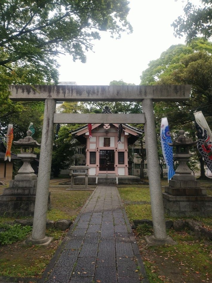 Comment image