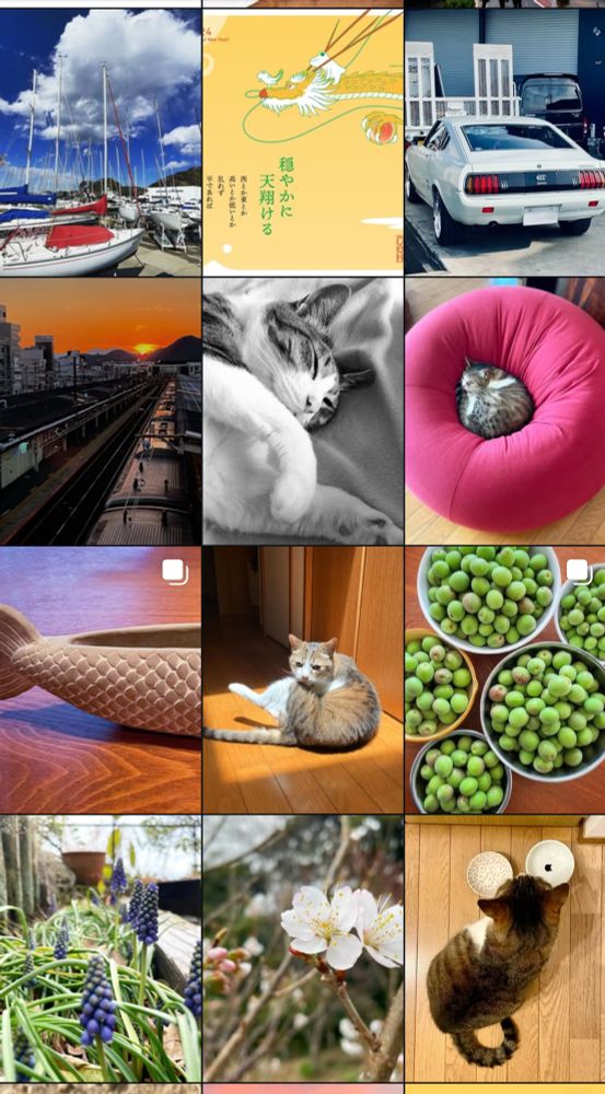 インスタの表示