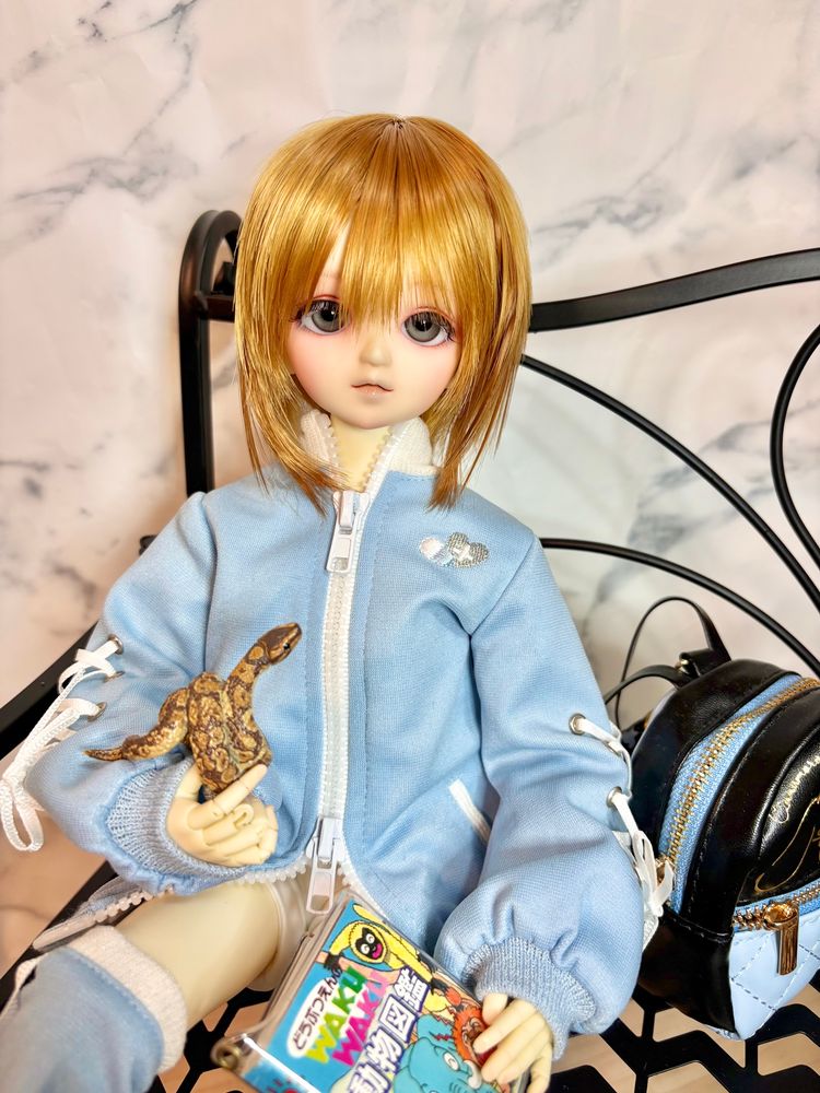 MSD 2番ヘッド

髪はいつものウィッグに植毛
まつ毛はブラウンと白の2枚重ね