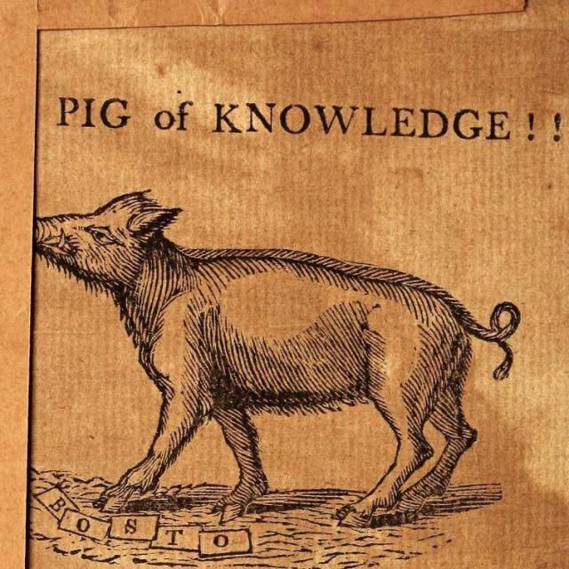A scan of a 19th-century print of a pig with letters in front of its front trotter. A caption above it reads “PIG of KNOWLEDGE!!”