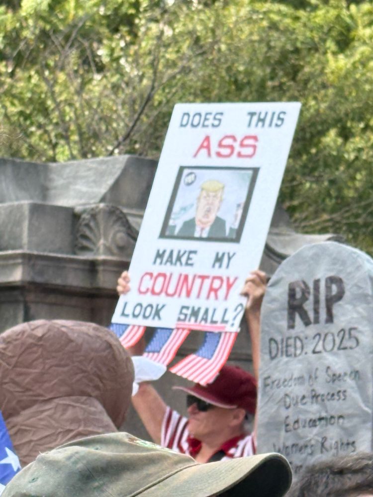A sign with a picture of Trump that reads “Does this Ass make my country look small?”