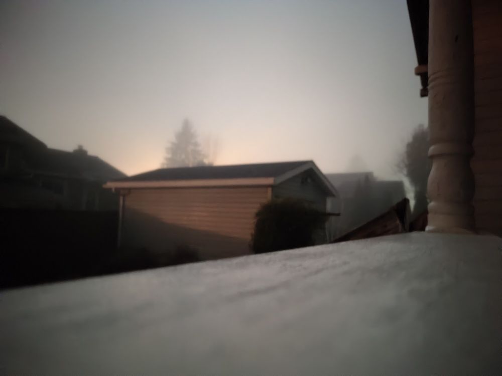 A neighborhood scene with rooftops, outbuildings and trees hidden in a bright pale fog