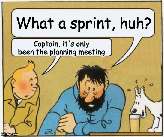 A comic of Tintin and Captain Haddock.

Captain Maddock: "What a sprint, huh?"
Tintin: "Captain, it's only been the planning meeting"
