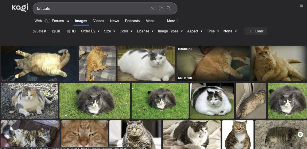 A nice no-AI selection of fat cats