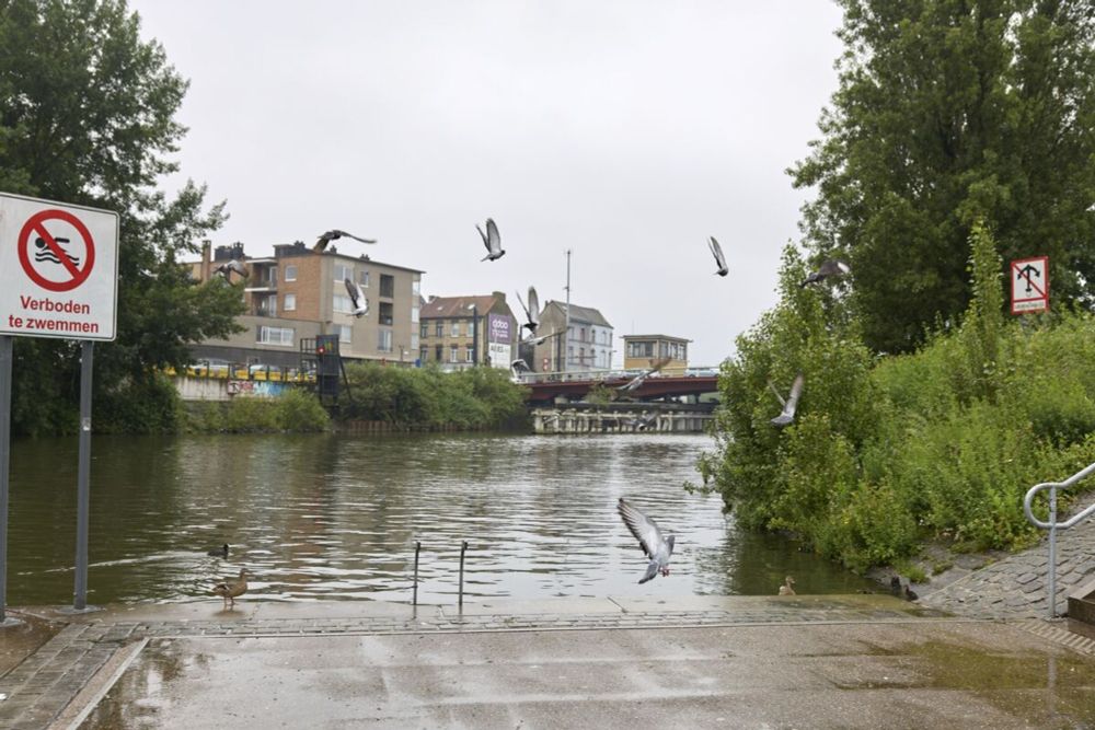 E-Coli, Diarrhea and Dead Fish: Europe’s Rivers Have a Sewage Problem